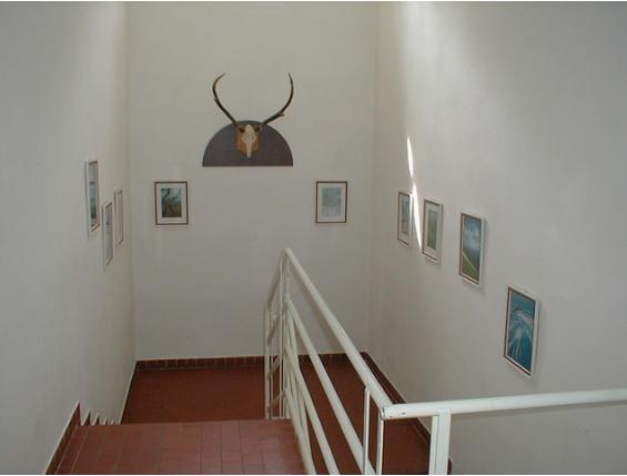 Restaurace A Pension Prvni Mlyn โคมูตอฟ ภายนอก รูปภาพ